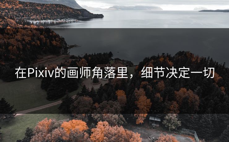 在Pixiv的画师角落里，细节决定一切